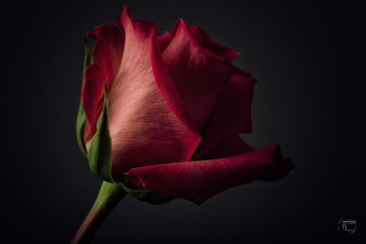 705478 (a): :2048x1365